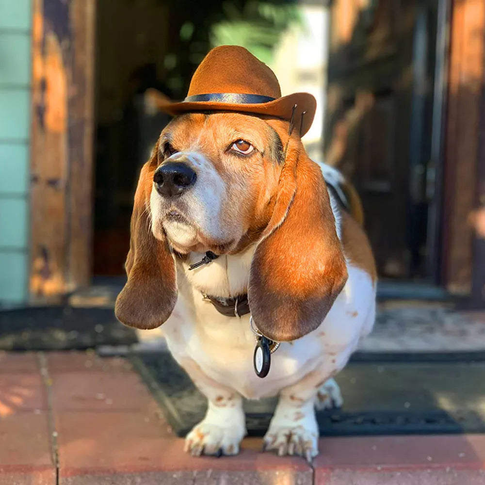 Adjustable cowboy hat for pets in black, brown, burgundy, or coffee on a dog