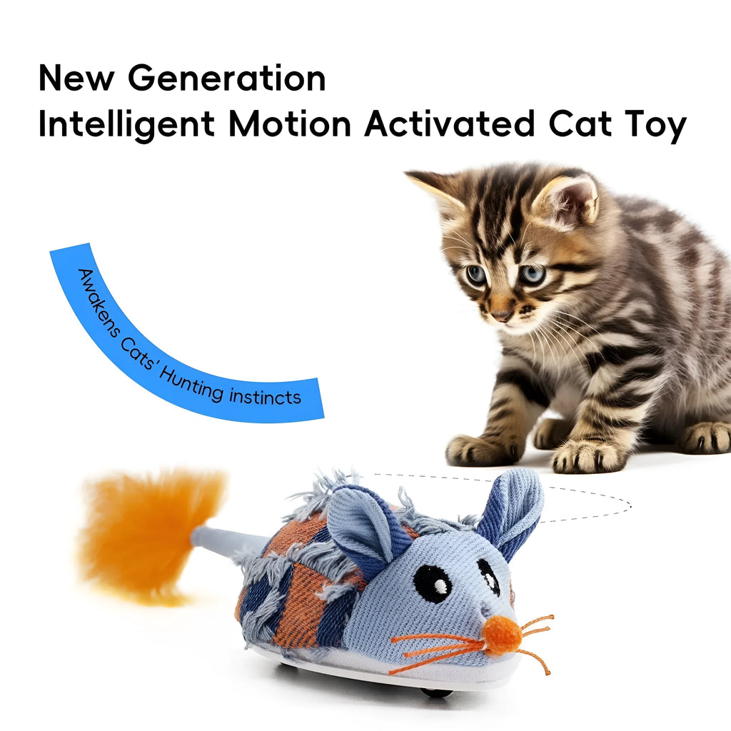 Electronic motion cat toy with mouse design and feather component in blue colour
