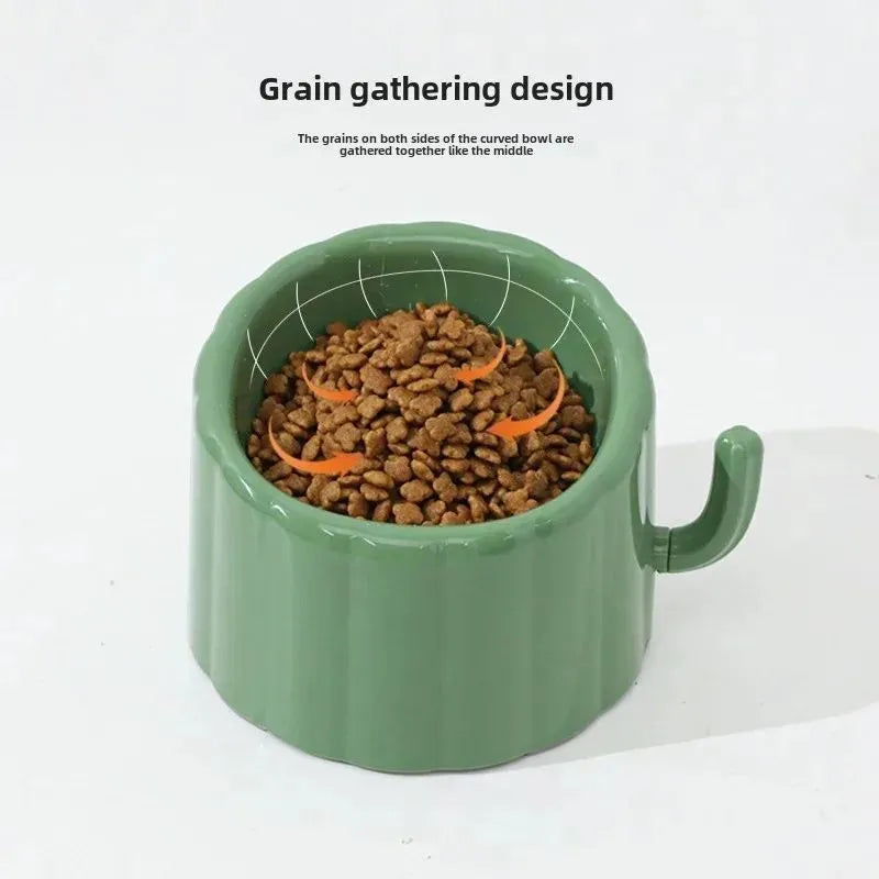 Dark green cat bowl with cactus design, showing wide mouth, heavy base, and anti-slip ring