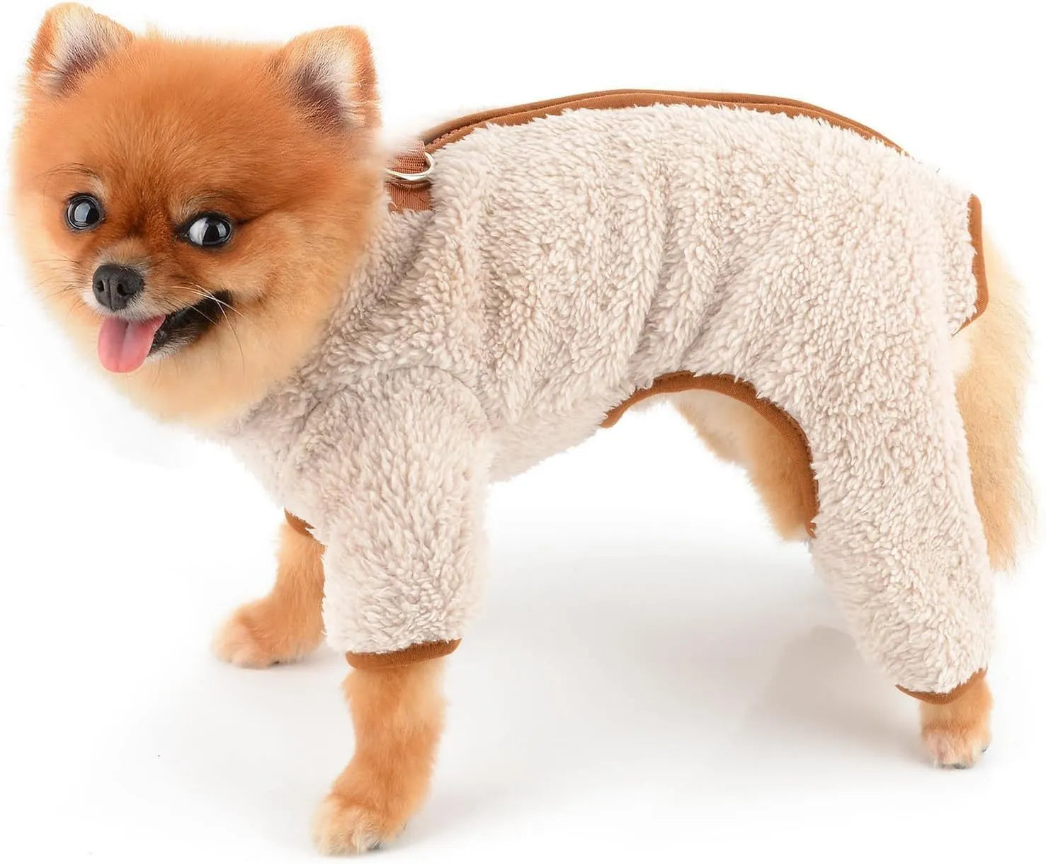 Small dog wearing a green fleece thermal jumpsuit coat with four legs and back zip closure.