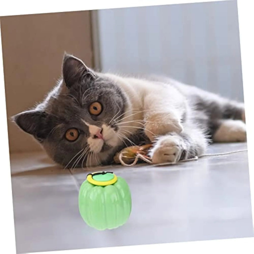 Orange Halloween pumpkin dog chew ball with squeaker for small dogs
