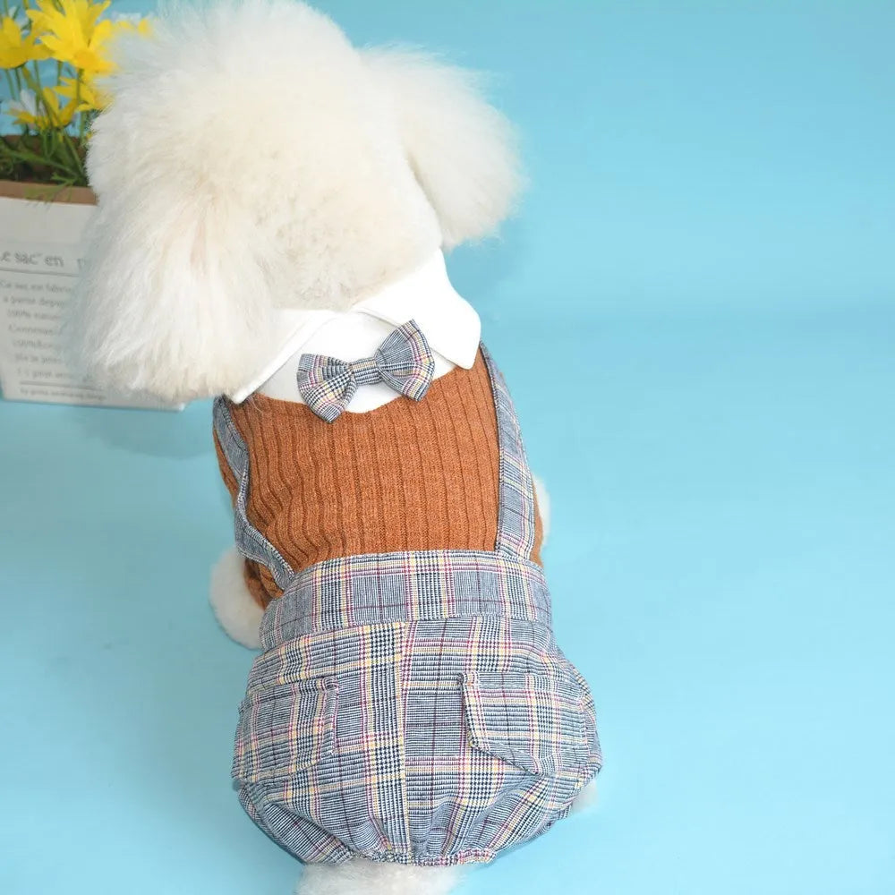Orange cotton button shirt for small dog on mannequin
