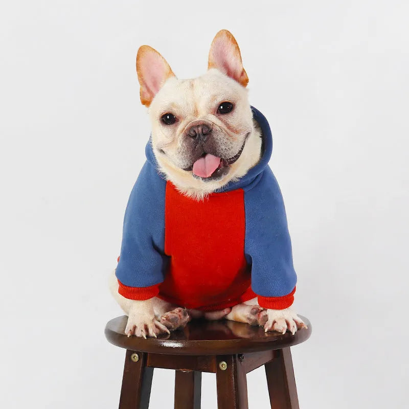 Red cotton dog clothes for small to medium breeds in autumn and winter seasons