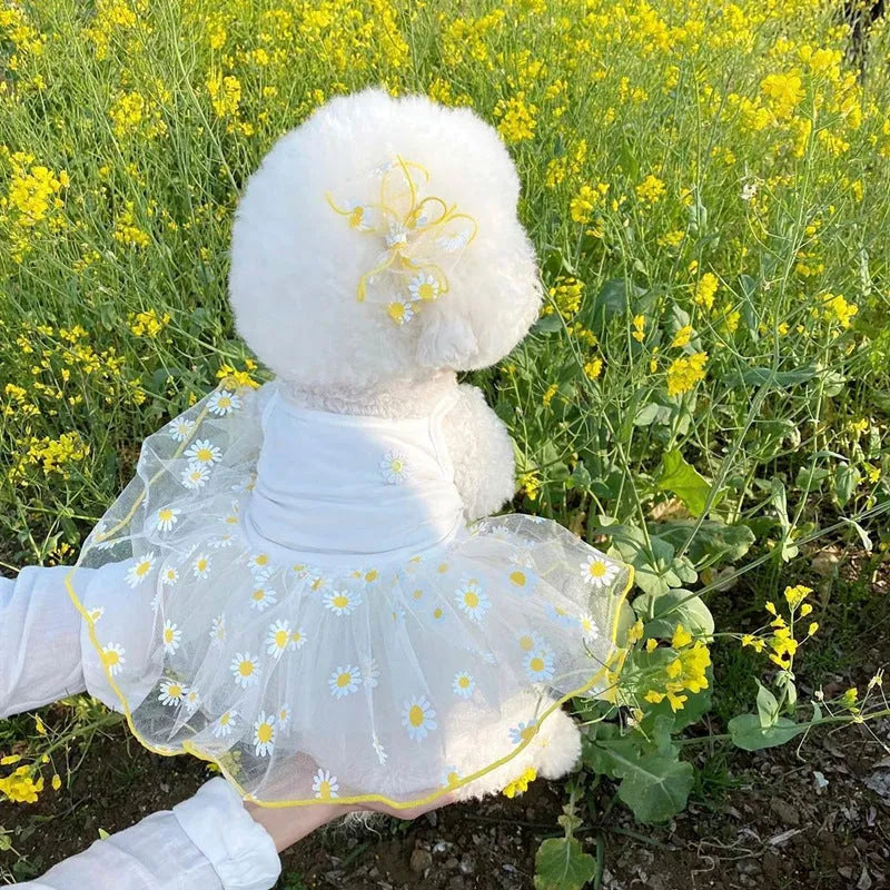Yellow daisy print polyester dog clothes for summer wear in size L