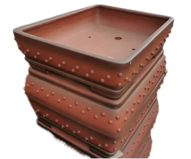 Extra large rectangular purple clay bonsai pot on a wooden desktop, plant included