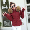 Women's winter parka jacket in black with cotton down fill and polyester fabric, ordinary length 50-65cm