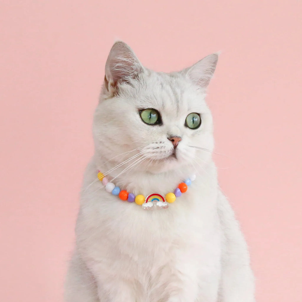 Colourful plastic pearl bead cat collar necklace showing rainbow, peach and small flower design options