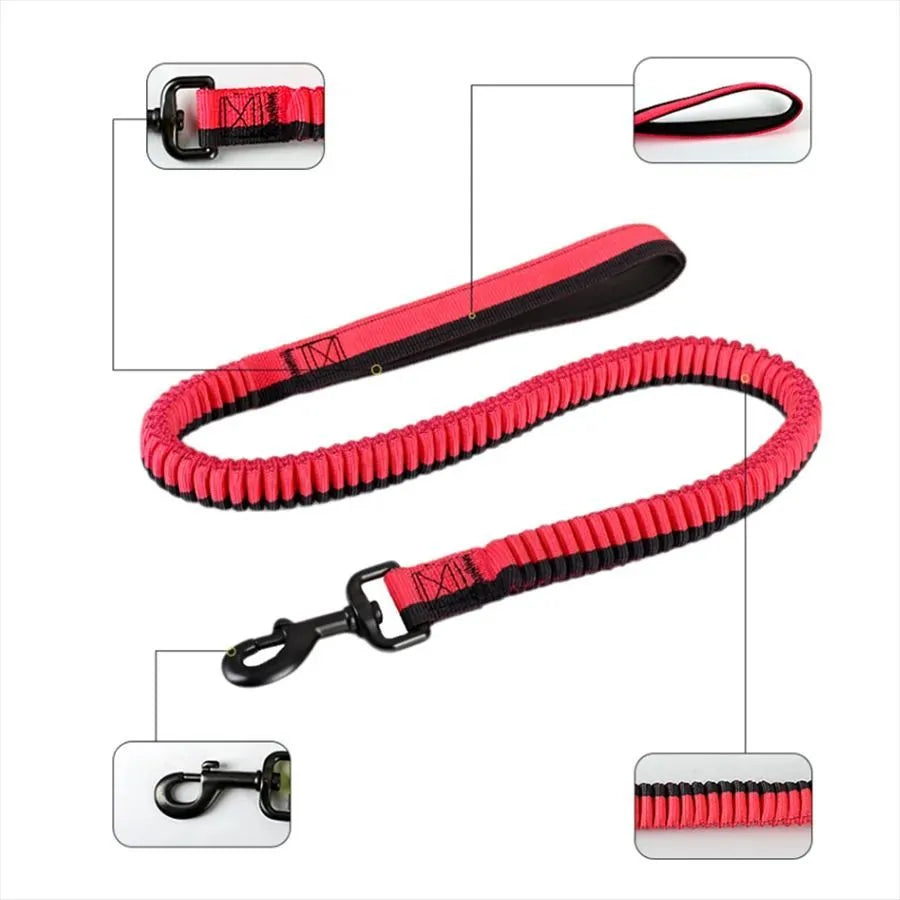 Green elastic dog training leash with metal clip for medium and large dogs