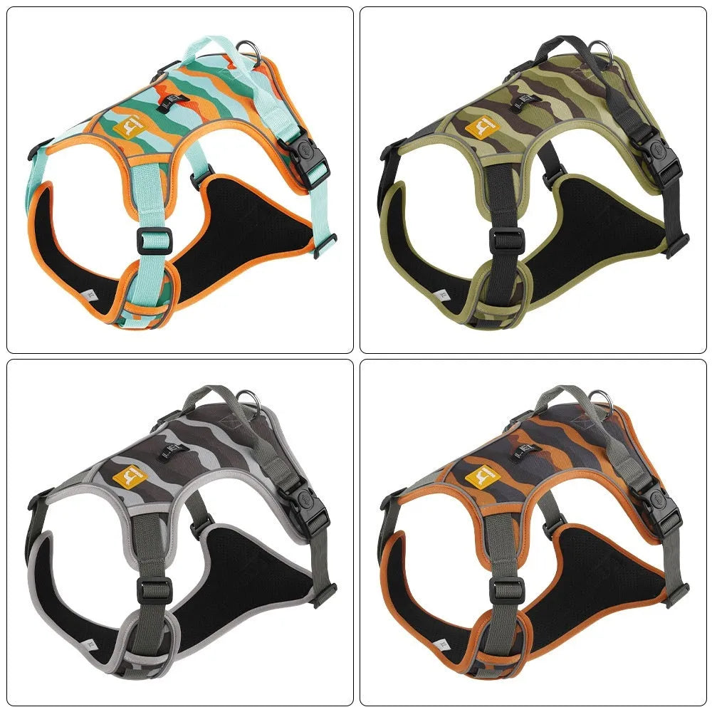 Reflective orange dog harness and leash for chest and back control on a dog.