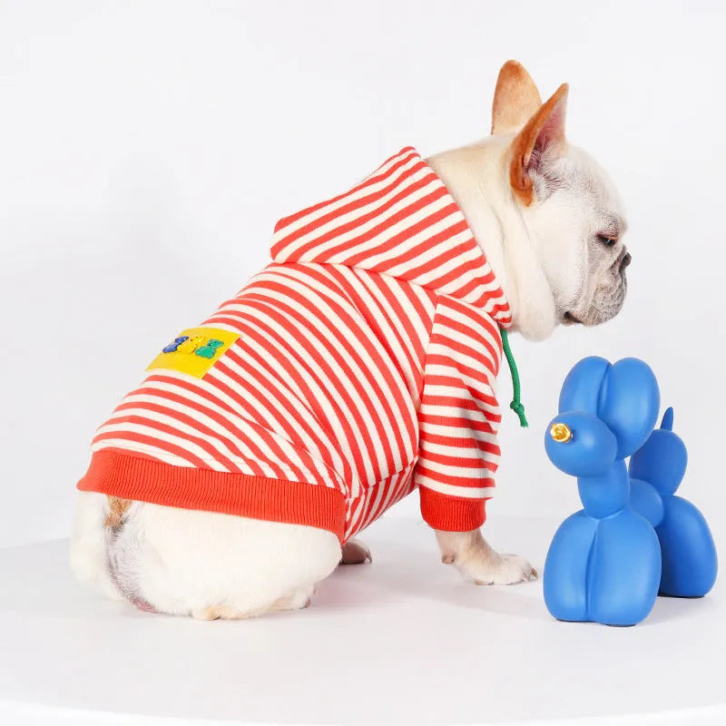 Orange cotton dog hooded sweater with Jarre Aero Bull Pug design pet clothing