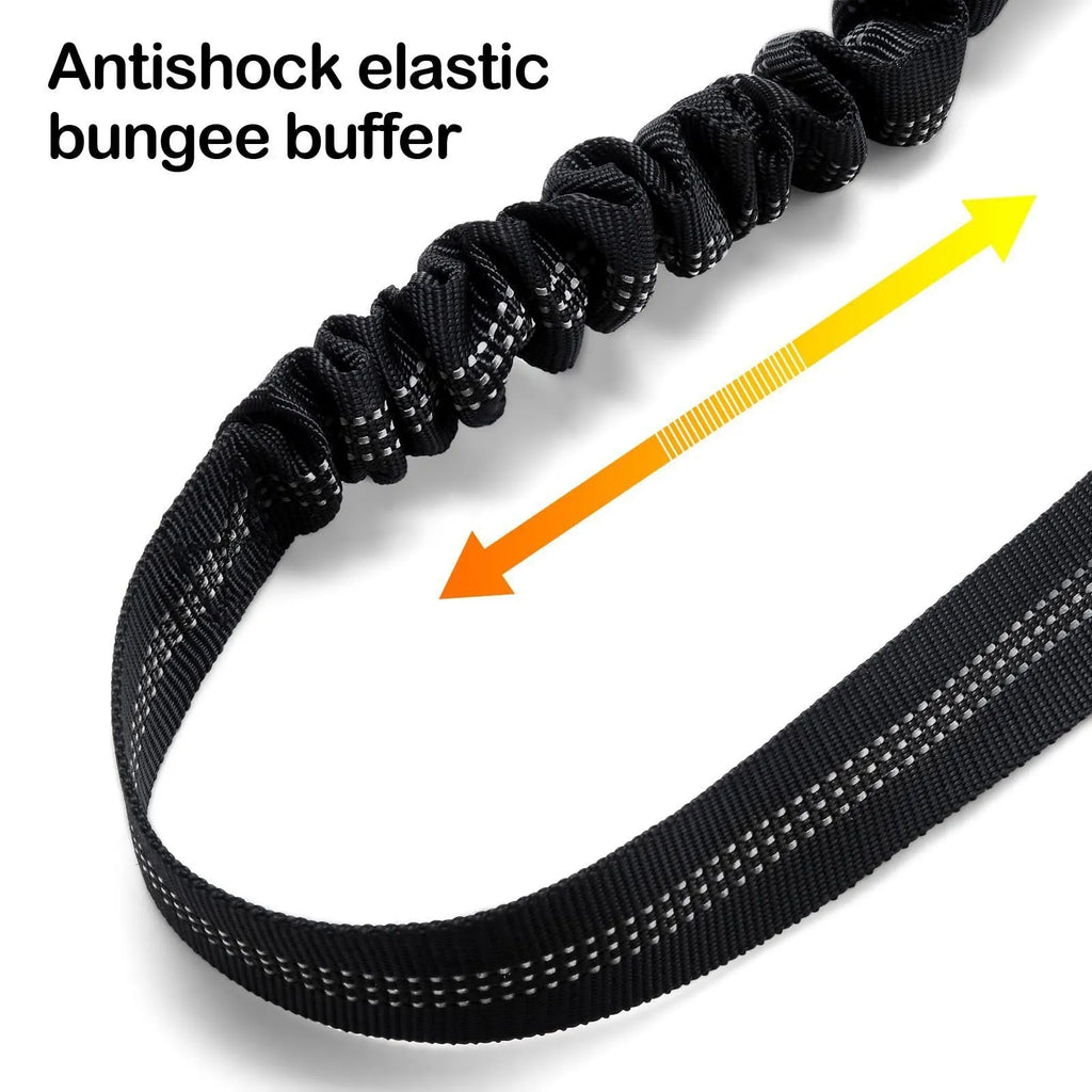 Nylon tow rope dog leash with a metal buckle in various colours