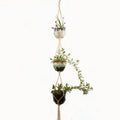 Woven wire plant hanger bracket with cotton rope, shown in a rustic style suitable for wall mounting.