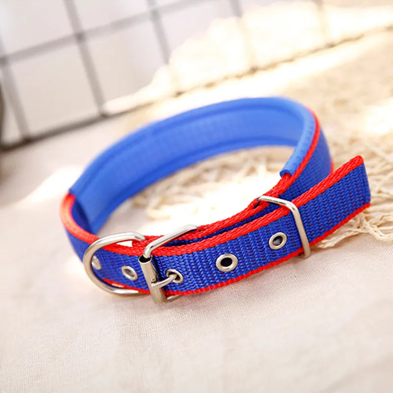 PP braid lined polypropylene PET foam dog collar in blue with nylon construction