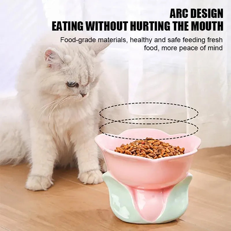 Ceramic raised pet bowl with floral pattern and non-slip base for cats and small dogs