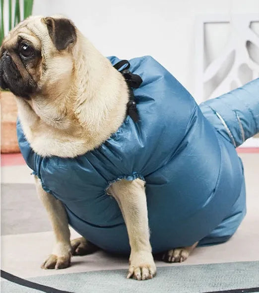 Blue automatic dog drying bag made from high-density Oxford cloth with silver-plated film, available in sizes S to XXL for dogs 2.5-50 kg