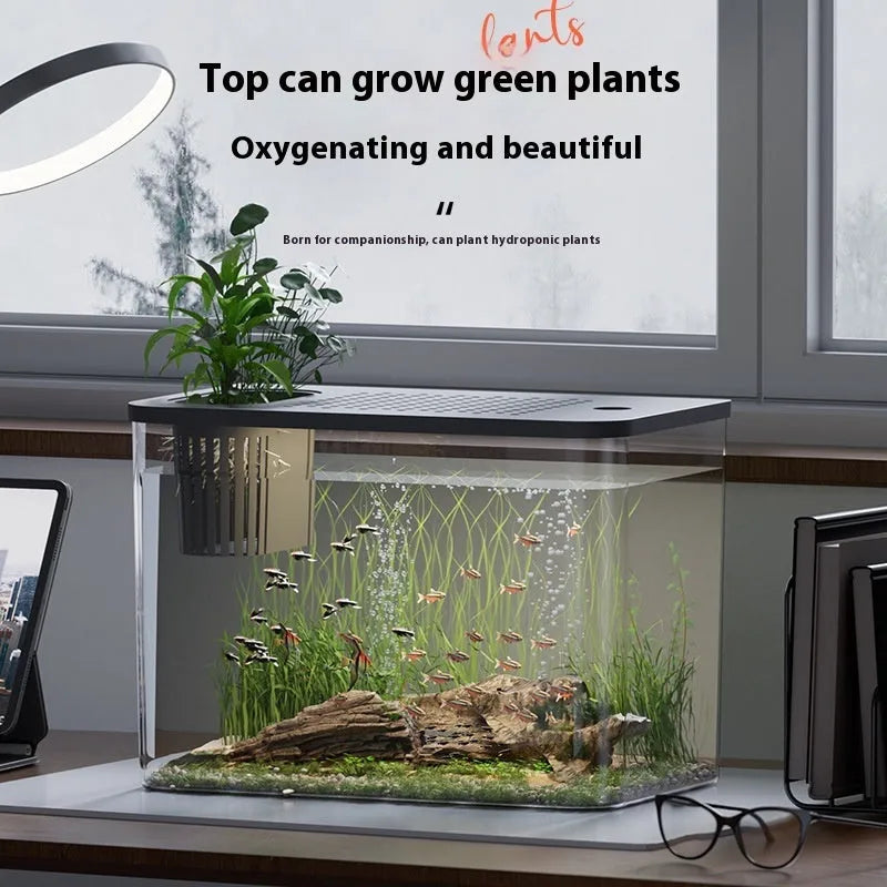 Medium plastic betta fish tank with lid cover in black or white colour options