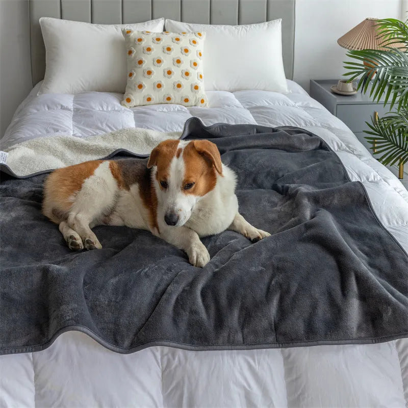 Gray lambswool pet waterproof blanket with cloth surface and waterproof backing