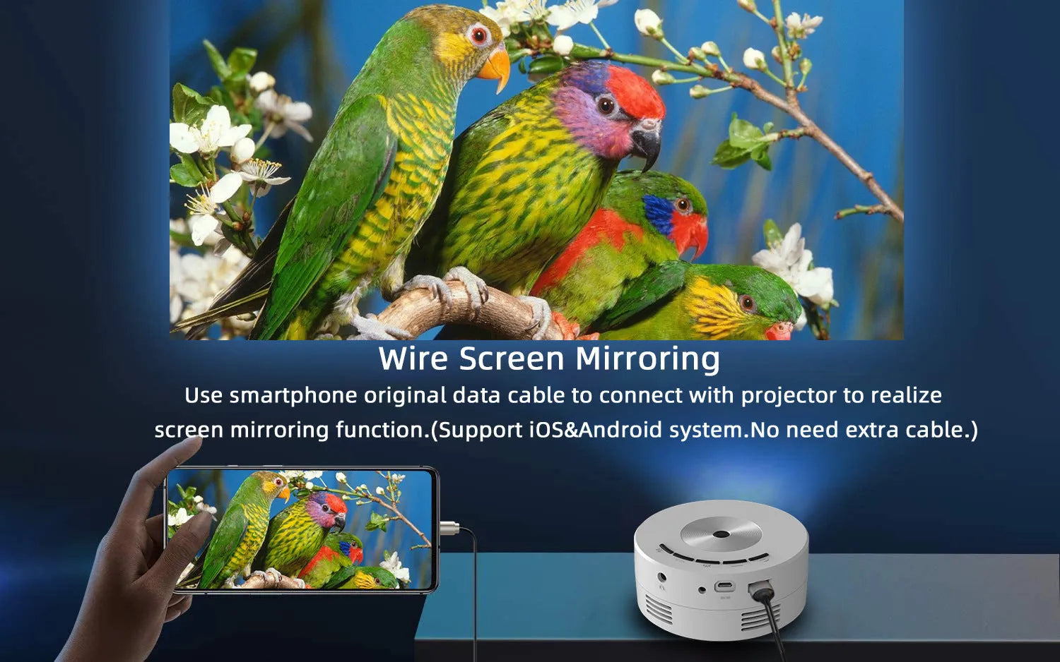 Portable wired same-screen projector for mobile phones in black and white