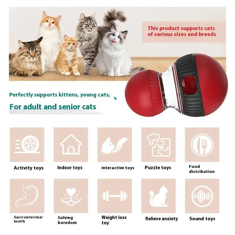 Super ball coloured plastic rotating cat food dropping ball toy on a plain surface.