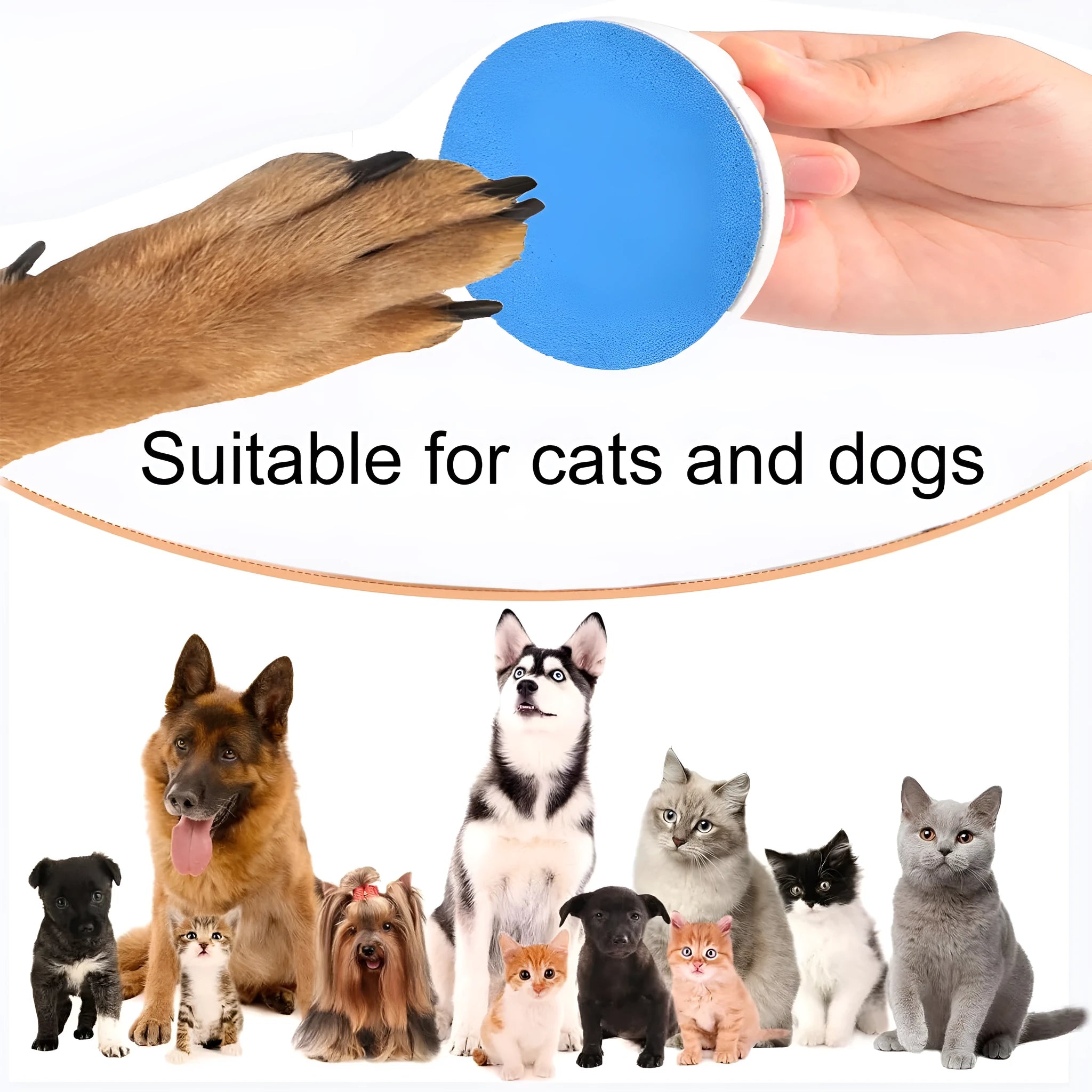 Round dog nail file scratch board with ergonomic handle in one of four colours.