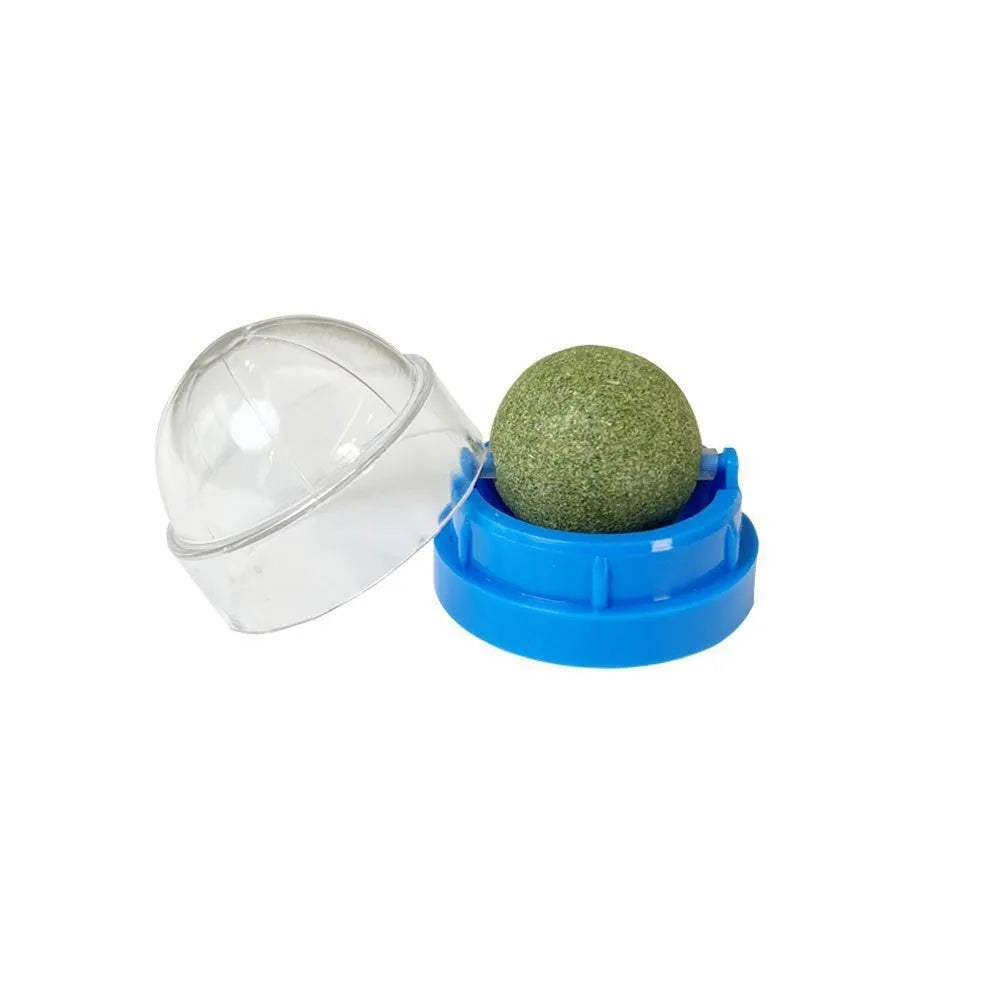 Colourful plastic catnip ball chew toy for dental care on a white background.