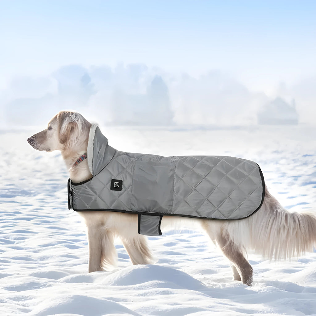 Black heating pet coat made of memory polyester fabric with short rabbit fur flannel lining for small to large dogs