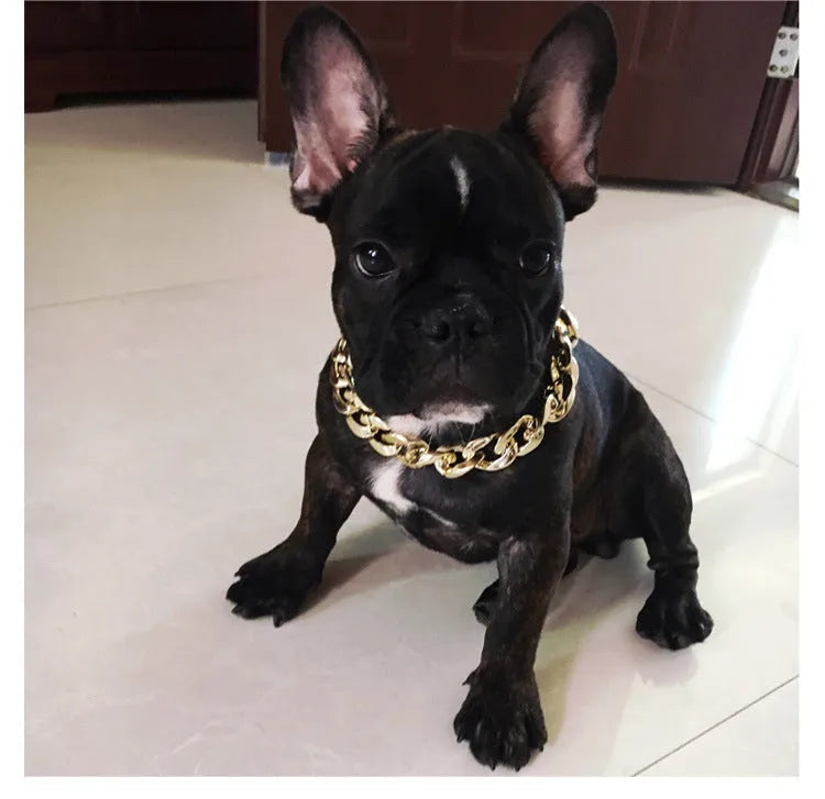 Adjustable gold chain dog collar with twisted design for small to medium sized pets
