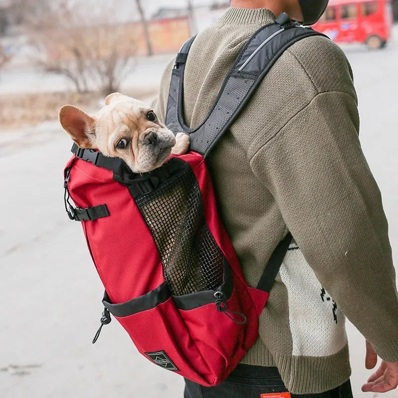 Pet dog carrier backpack in polyester with double shoulder straps, available in multiple sizes and colours