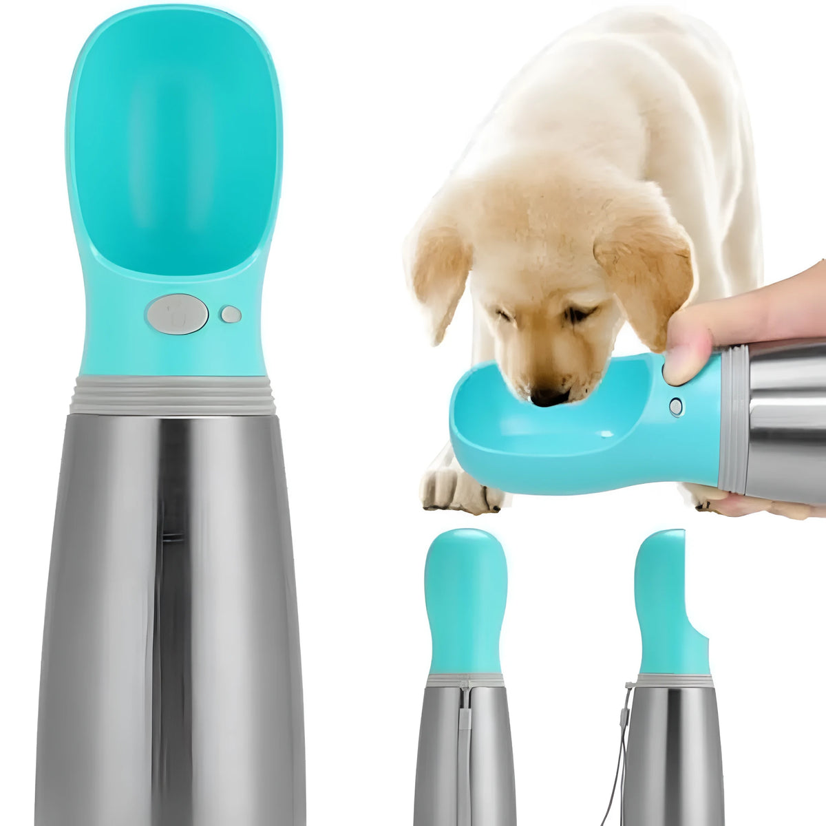 Blue 700ml stainless steel portable dog water bottle with built-in bowl and silicone drinking cup