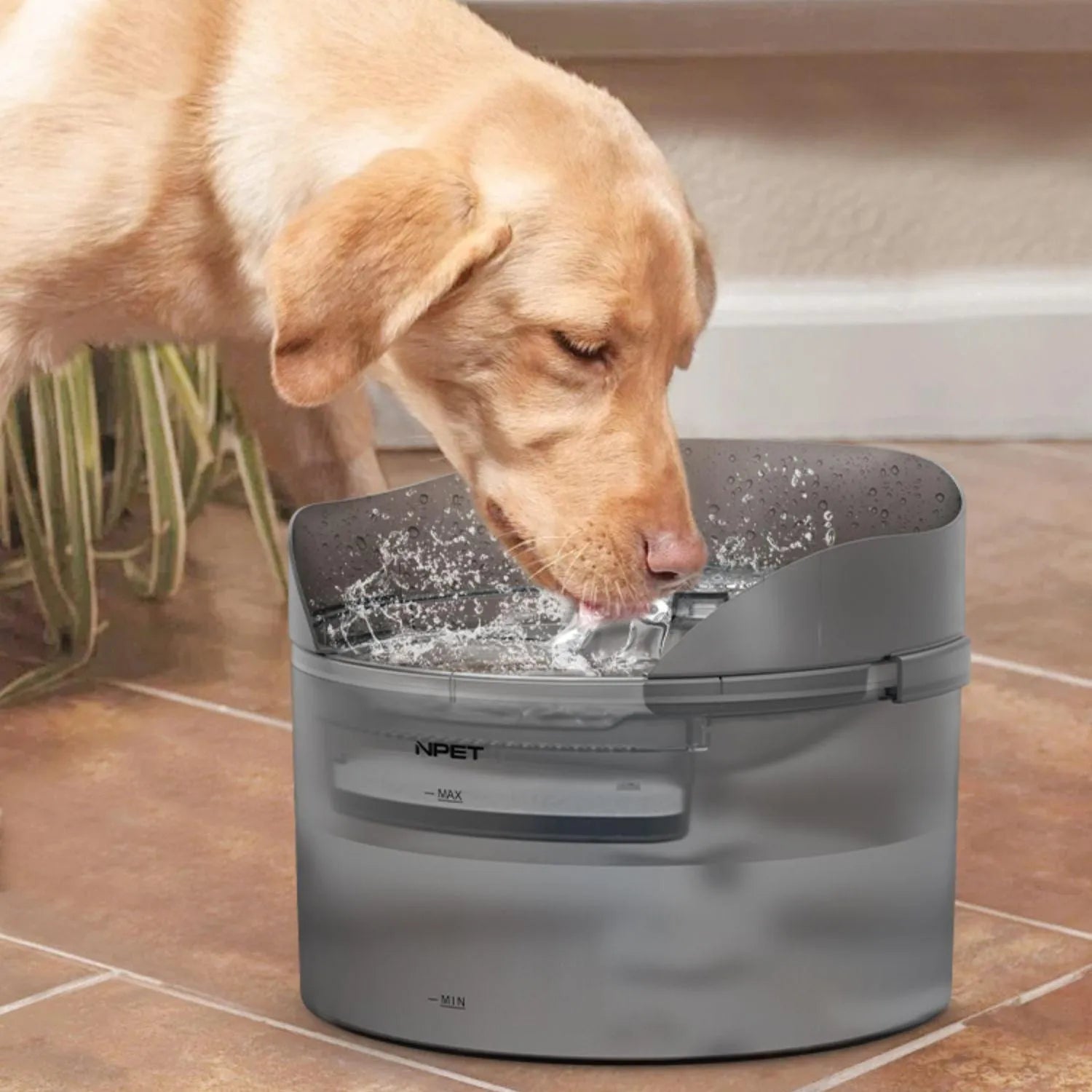 Automatic pet water dispenser with circulating water system for cats and dogs, showing water fountain feature