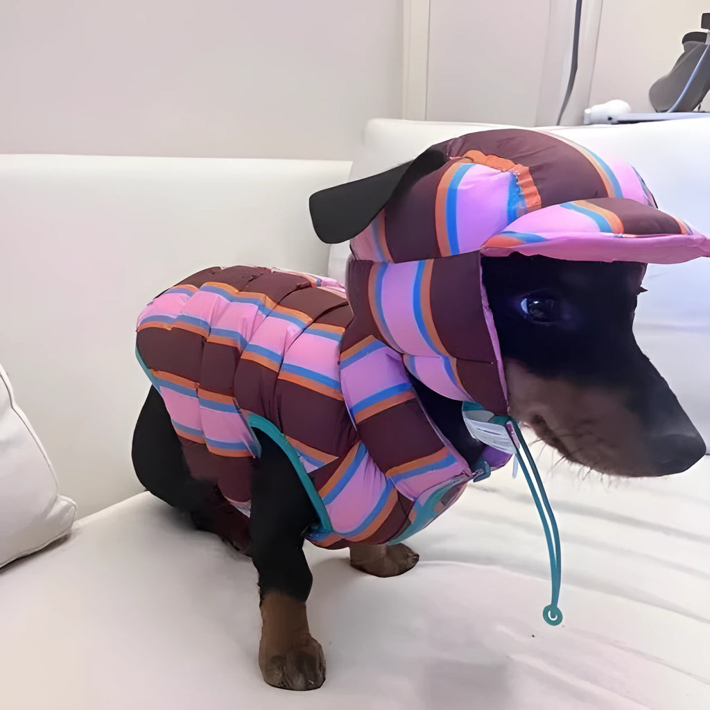 Dirty pink striped pet vest with matching hat for autumn and winter wear on small dog