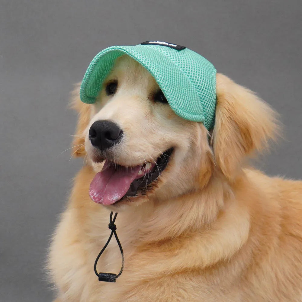 Breathable sandwich net dog hat with ear holes in green or pink, sizes XS to XL