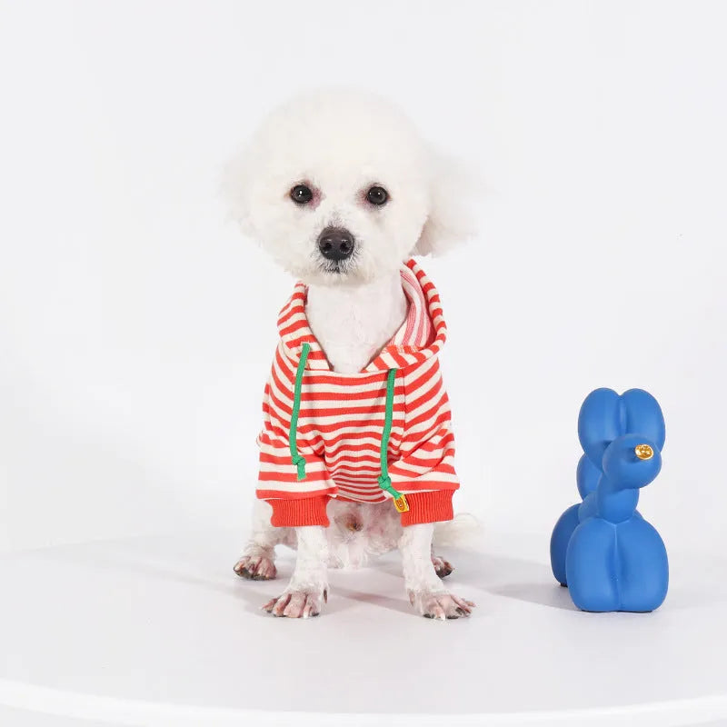 Orange cotton dog hooded sweater with Jarre Aero Bull Pug design pet clothing