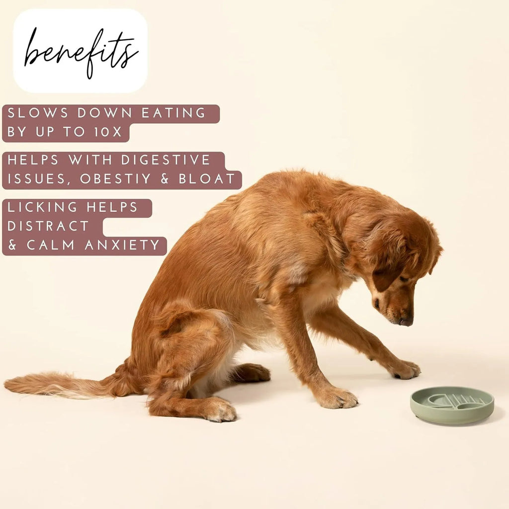 Silicone slow feeder dog bowl with ridge design in assorted colours