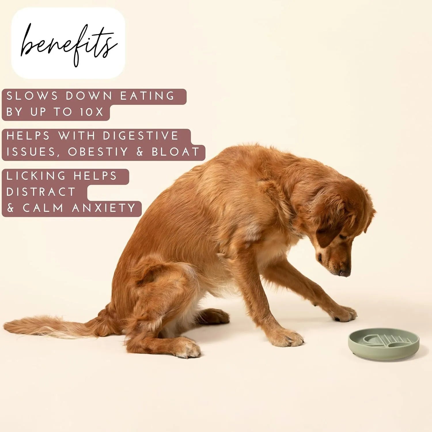 Silicone slow feeder dog bowl with ridge design in assorted colours