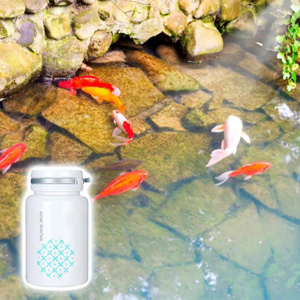 50g swimming pool algaecide treatment for algae removal and water purification