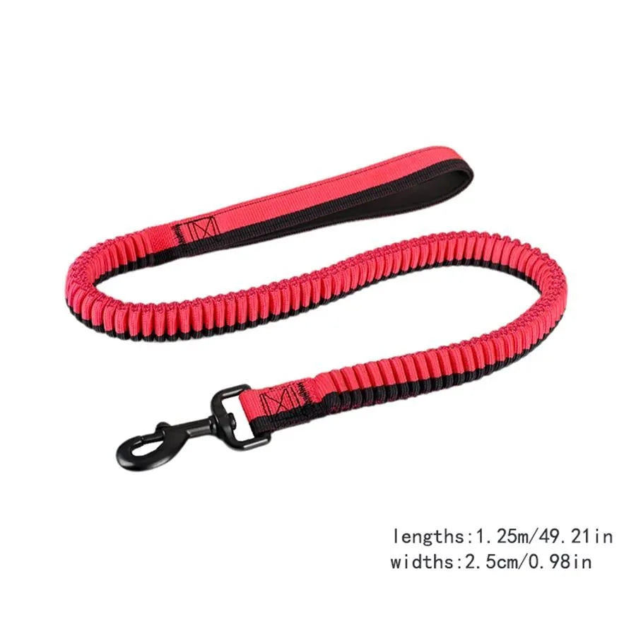 Green elastic dog training leash with metal clip for medium and large dogs