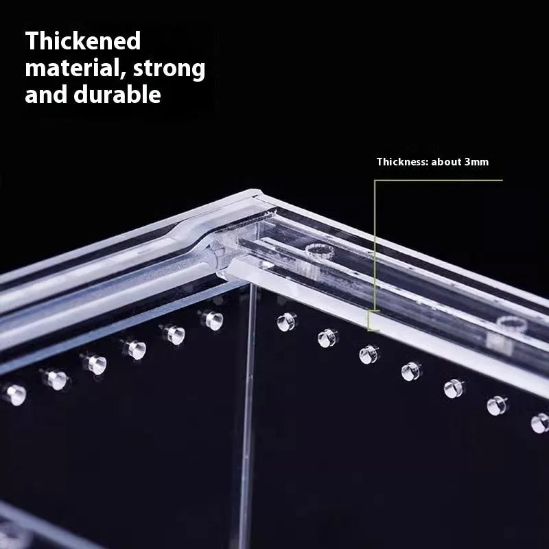 Transparent acrylic reptile feeding box showing five different size options on a white background.