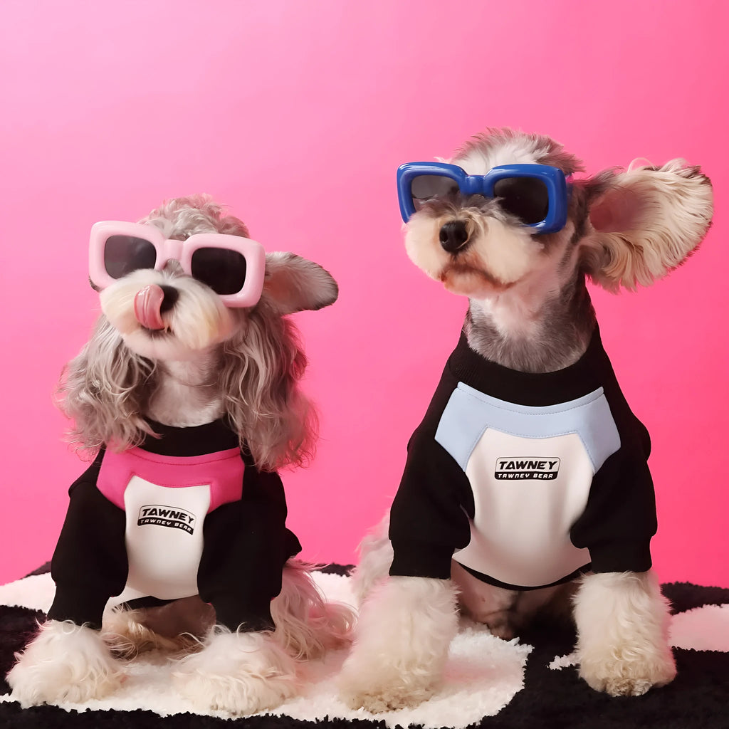 Cotton dog pullover sweater with zipper and stitching in pink or blue, sizes XS to XXL