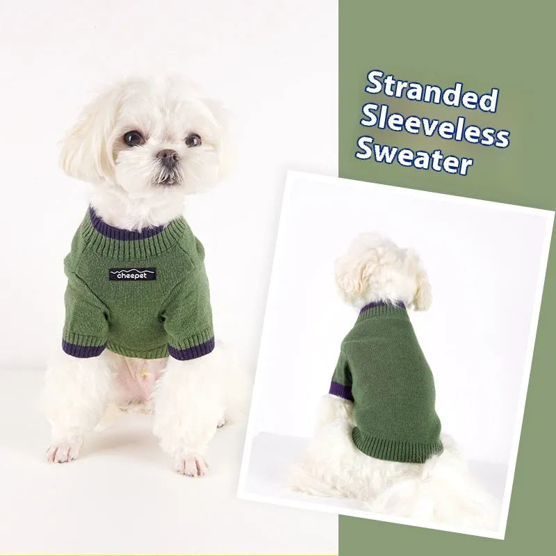 Dog wearing contrast colour two-leg wool sweater in British style