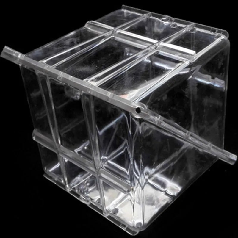 Square high-strength plastic growth mould for shaping watermelons and melons, 13cm interior dimensions.