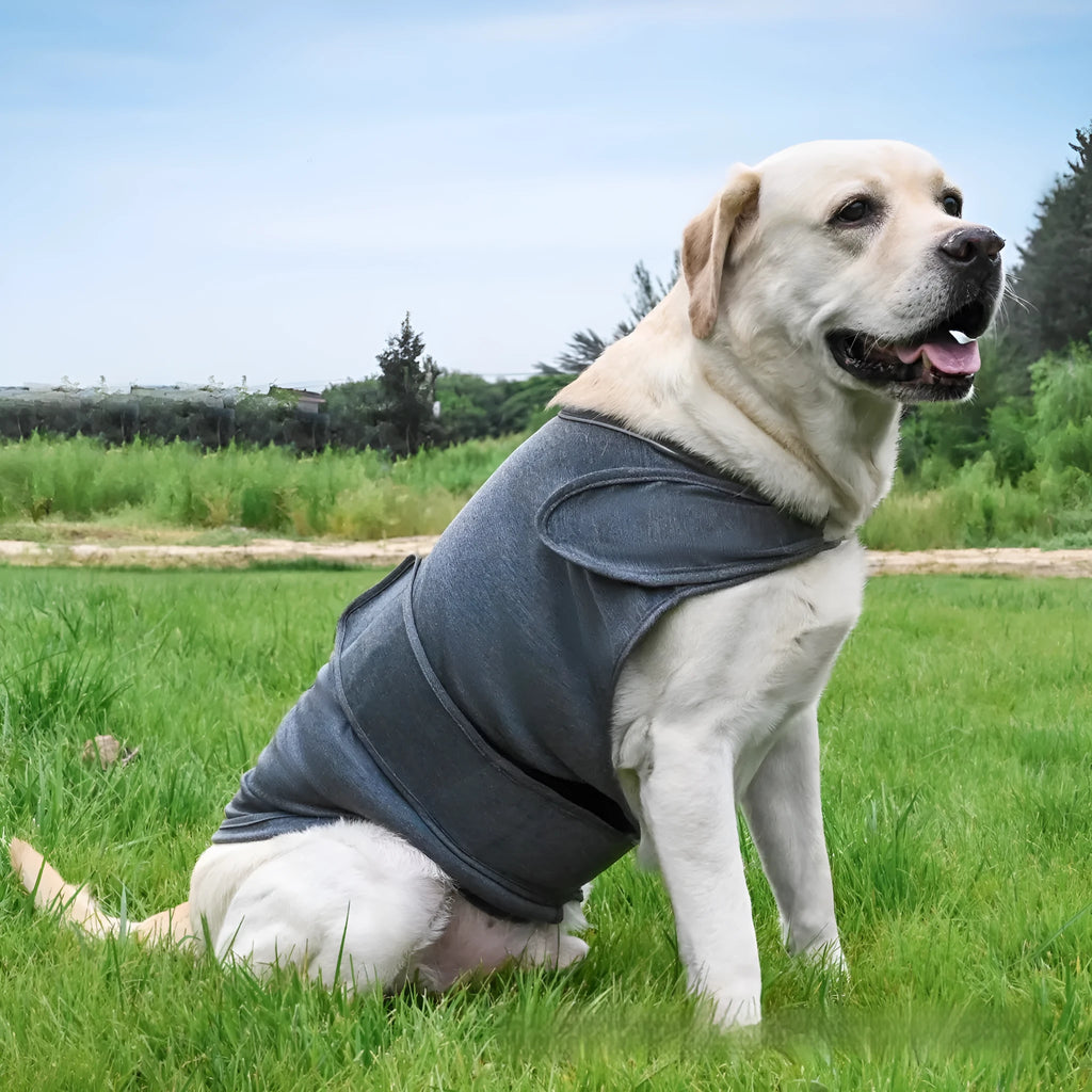 Brown brocade cotton dog anxiety relief tank top for separation anxiety on canine model