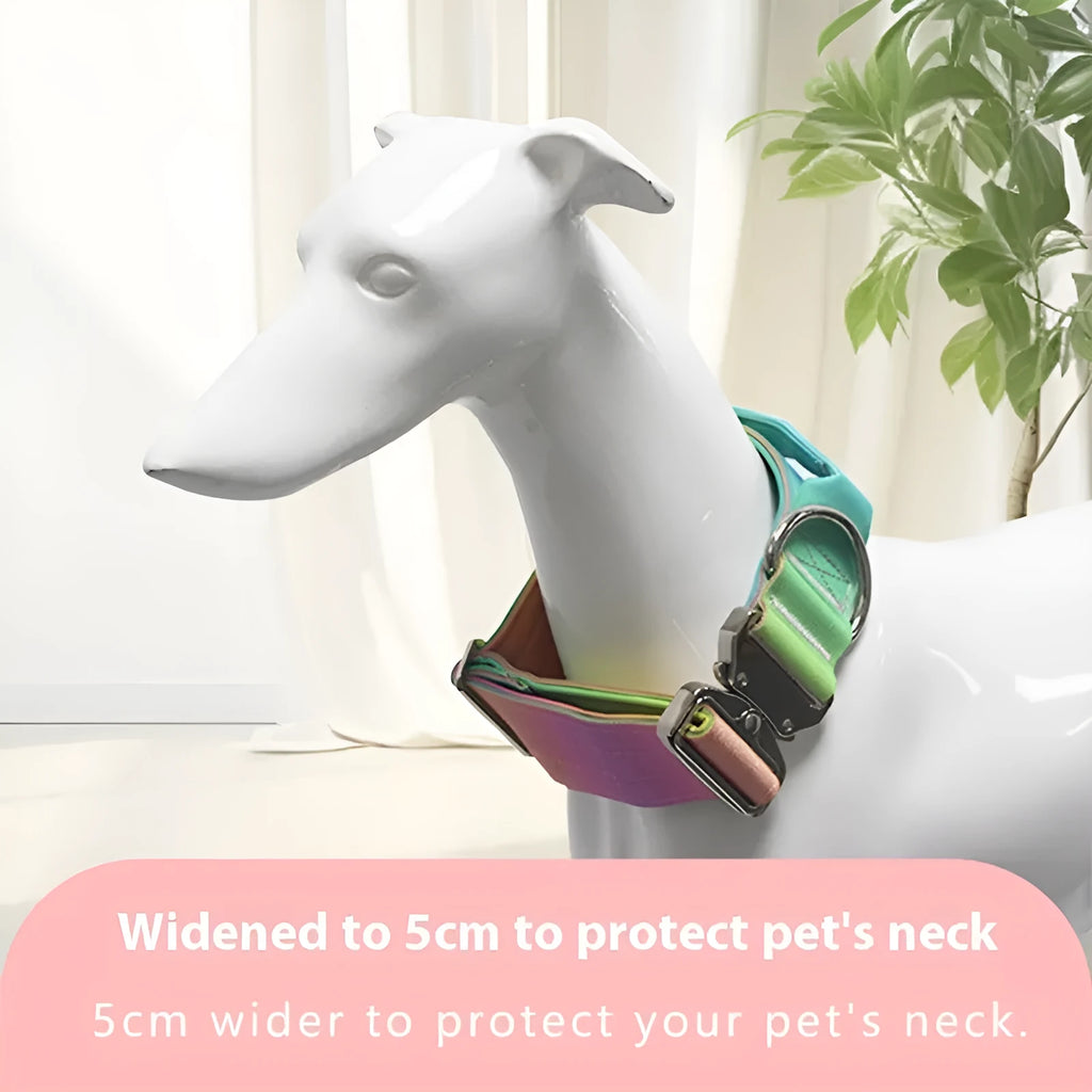 Gradient nylon dog collar and leash set, widened collar, Green Blue Pink Purple options, sizes L M, 2.5cm x 150cm leash