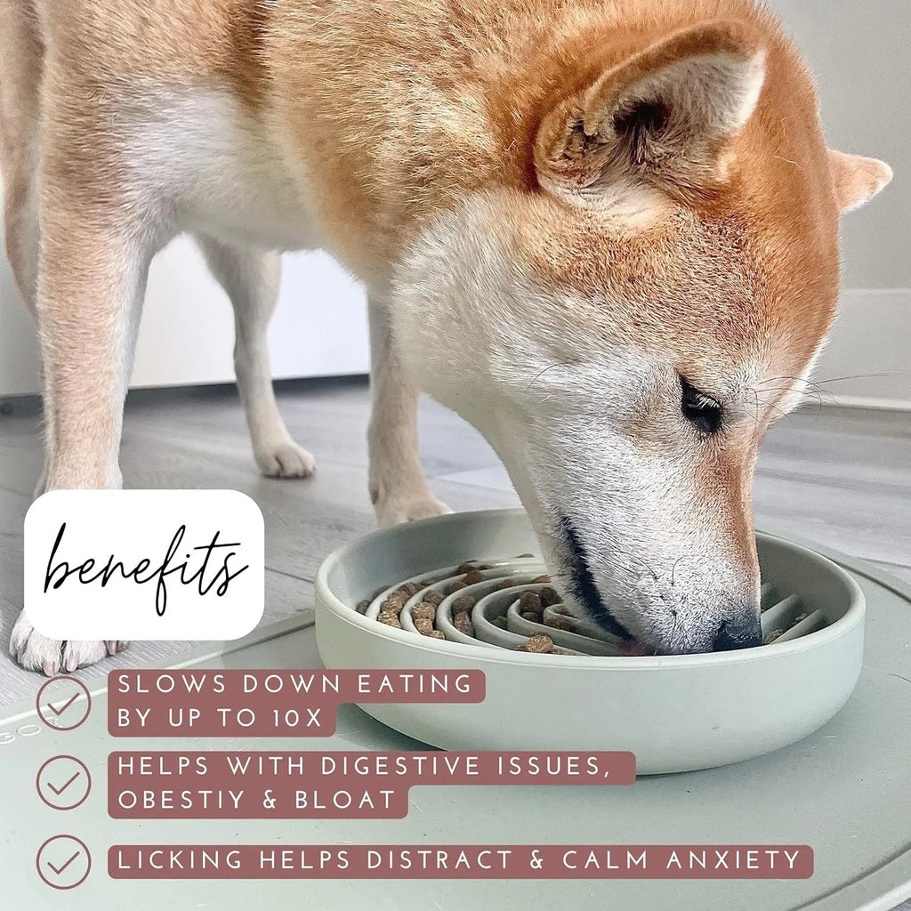 Silicone slow feeder dog bowl with ridge design in assorted colours