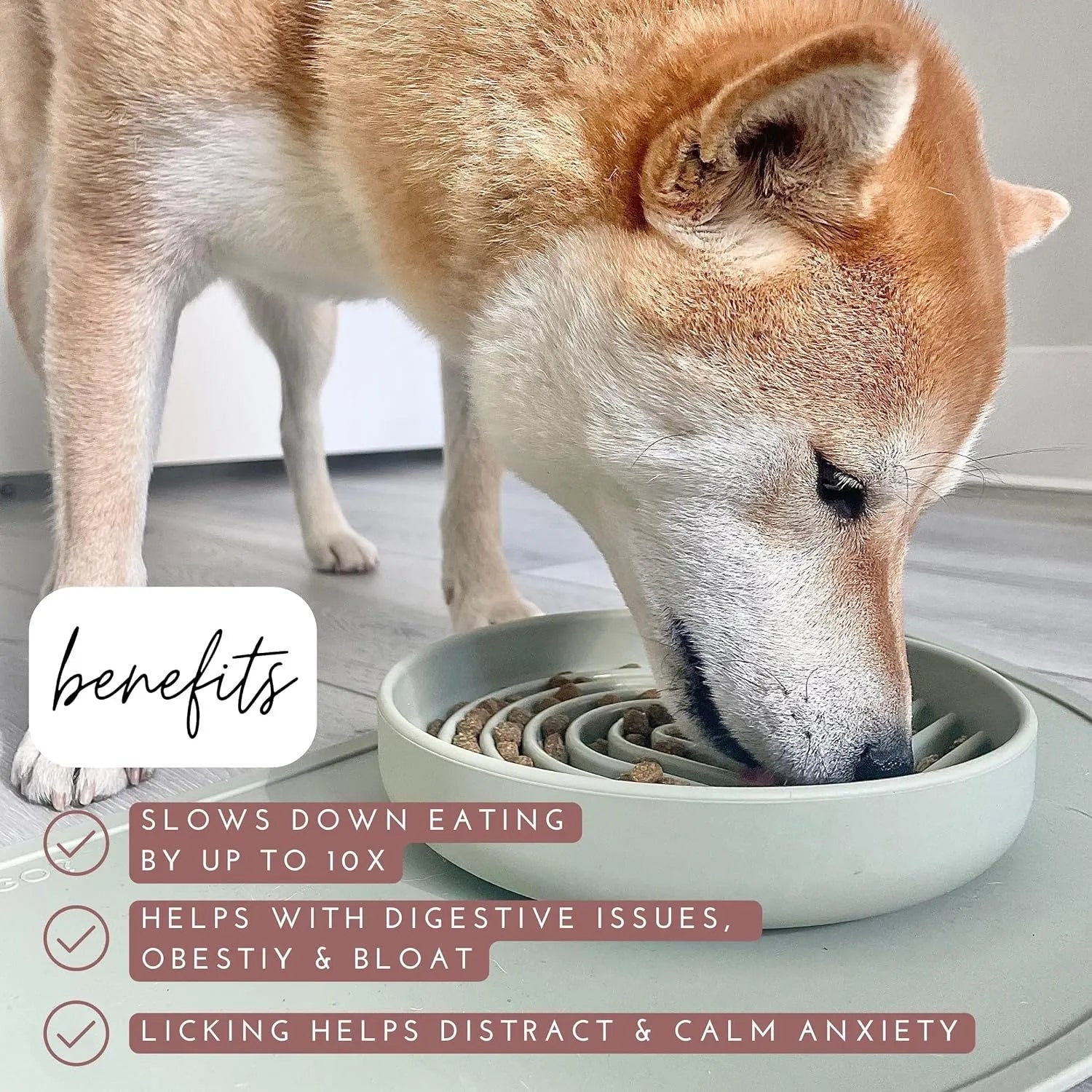 Silicone slow feeder dog bowl with ridge design in assorted colours