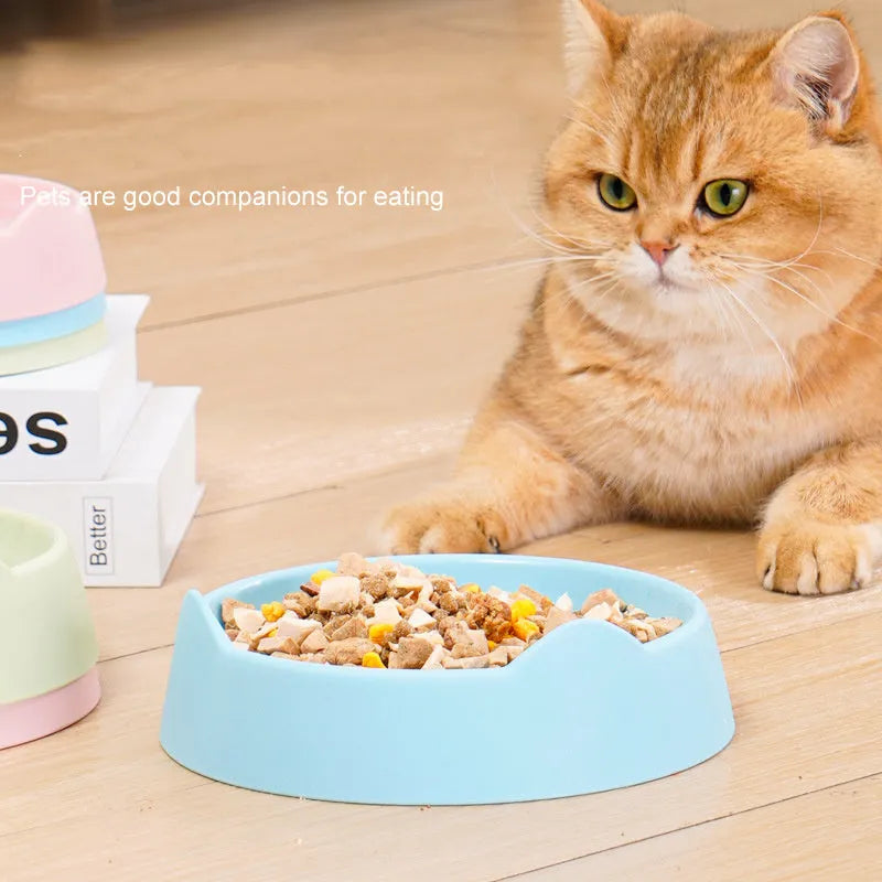 Ceramic slow feeder dog bowl with puzzle maze design in blue, green, or pink colour for fast-eating dogs