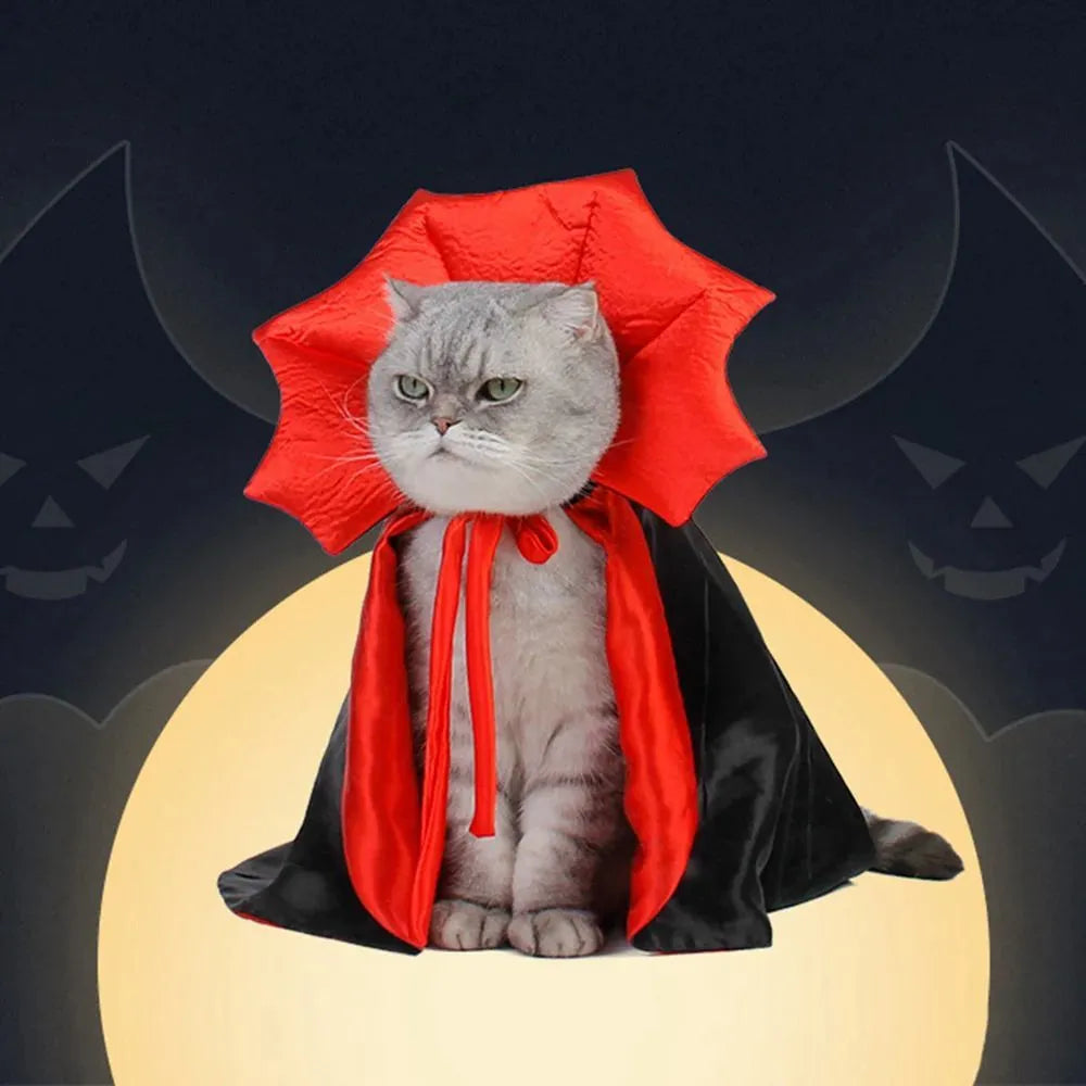 Black Halloween vampire cloak pet costume with bat-wing collar for small dog or cat