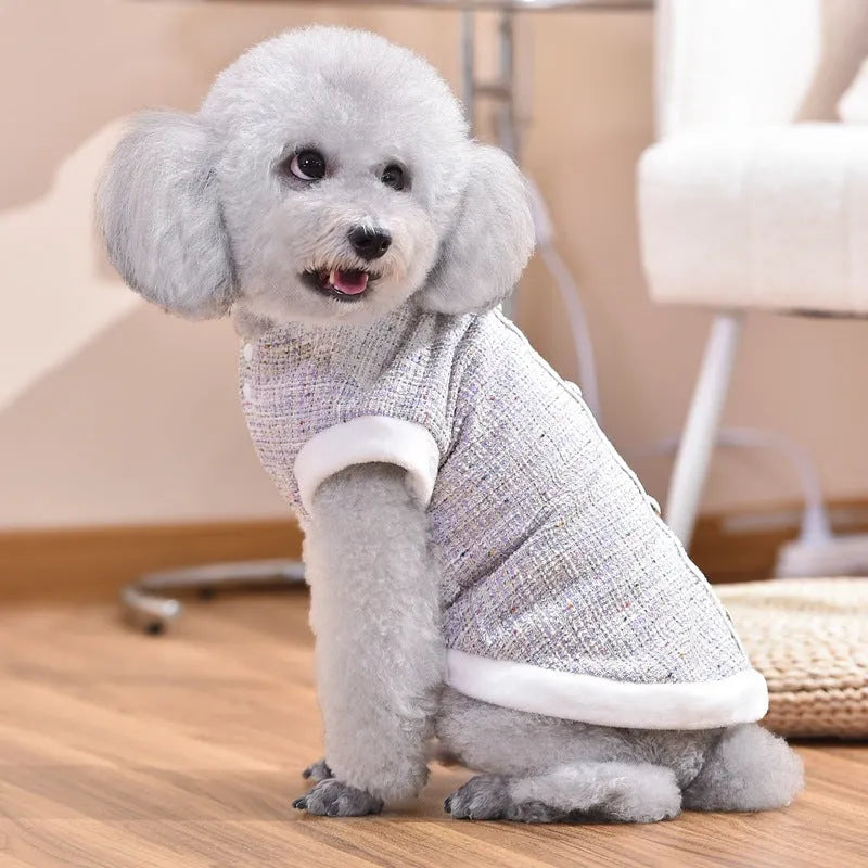 Black PU jacket on sausage-shaped cat with size range XS to 4XL