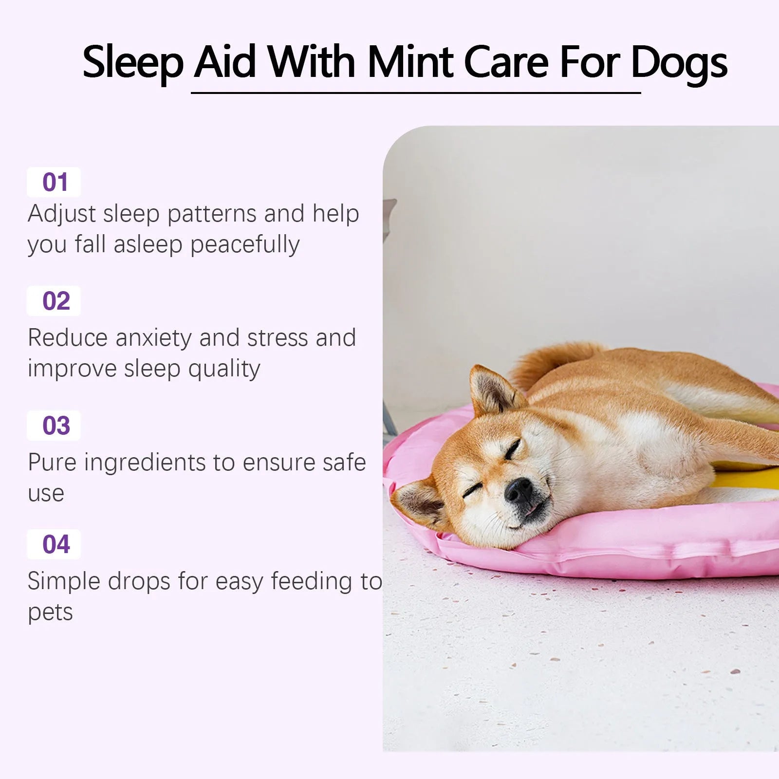 60ml bottle of dog sleep drops with mint extract for canine relaxation support