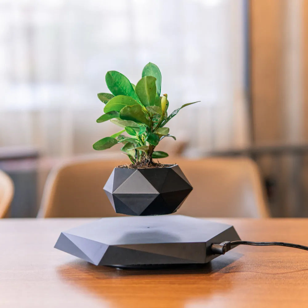 Hexagonal wood grain plant pot floating above circular base with magnetic levitation